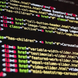 WBMS Web Developers